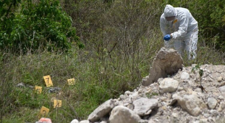 Buscan fosas clandestinas en Jalisco mediante análisis del crecimiento vegetal