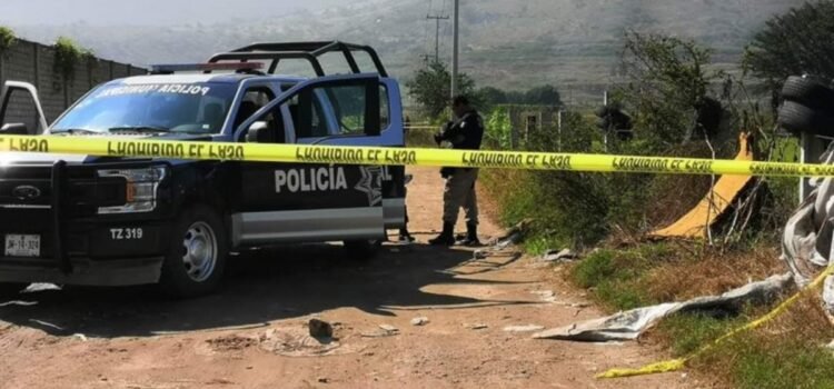 Jalisco y Zacatecas investigan asesinato de seis personas halladas en Ojuelos