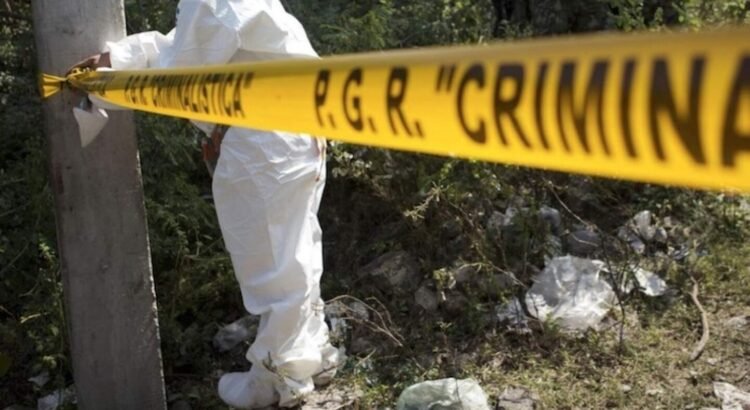 Identifican 2 de los 6 cuerpos hallados en límites de Jalisco y Zacatecas