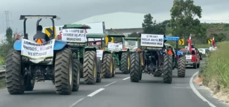 Agricultores bloquean carretera en Jalisco para exigir precio justo al maíz