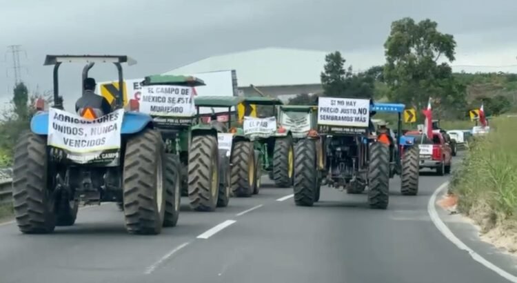 Agricultores bloquean carretera en Jalisco para exigir precio justo al maíz