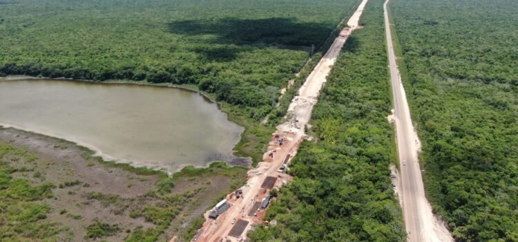 Reconoce Semarnat daño ambiental por el Tren Maya: ocho cavernas y cenotes afectados en el tramo 5