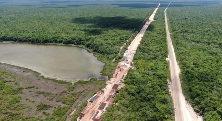 Reconoce Semarnat daño ambiental por el Tren Maya: ocho cavernas y cenotes afectados en el tramo 5