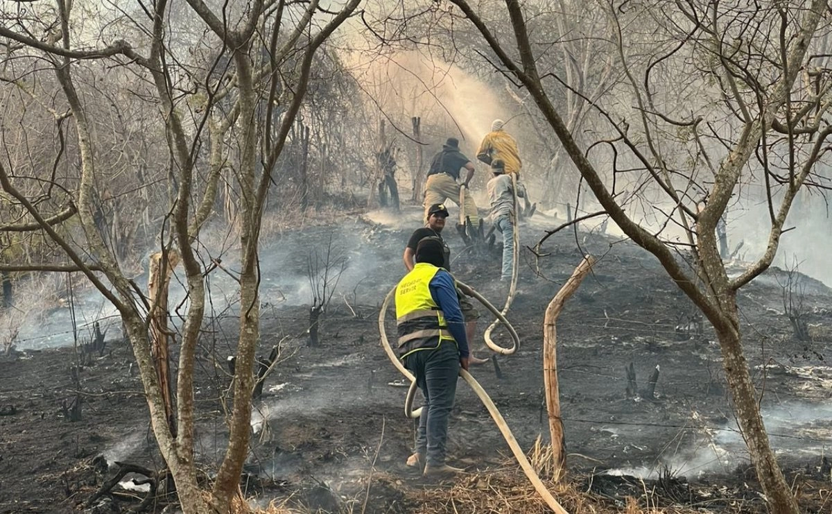 Incendios forestales arrasan más de 3 mil hectáreas en Jalisco