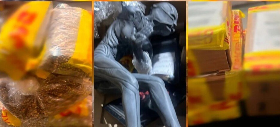 Aseguran más de 2.5 kilos de semillas de cannabis en Aduana de Guadalajara